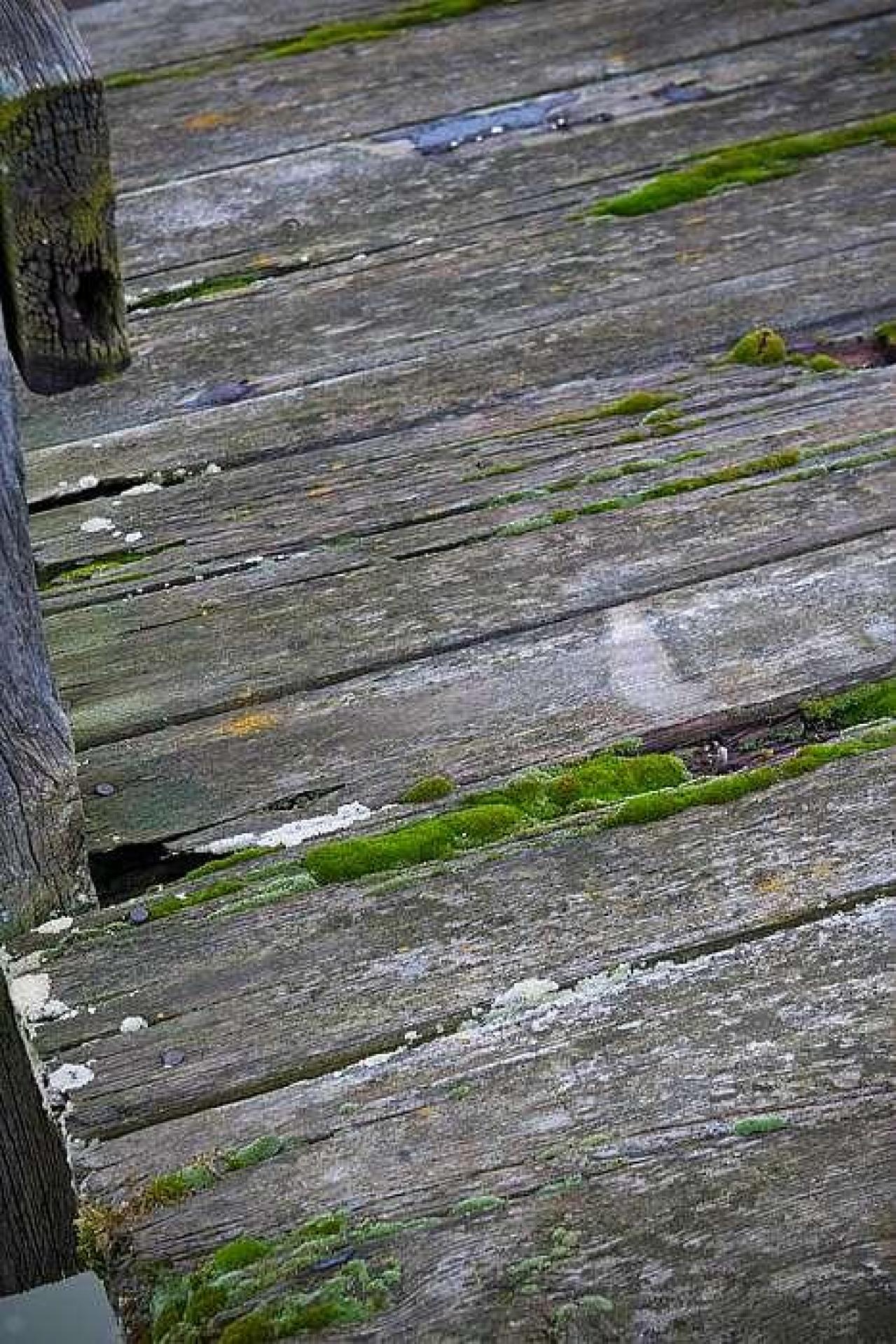 December 2018 - Railway-Bridge-over-the-Thames16.jpg