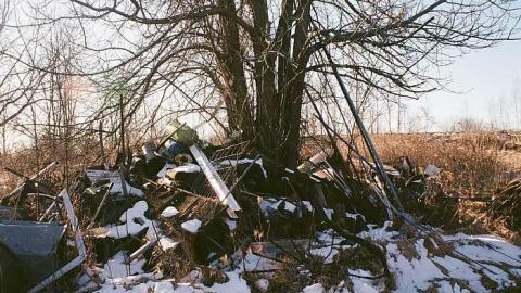 Photo from Beginning of 2018