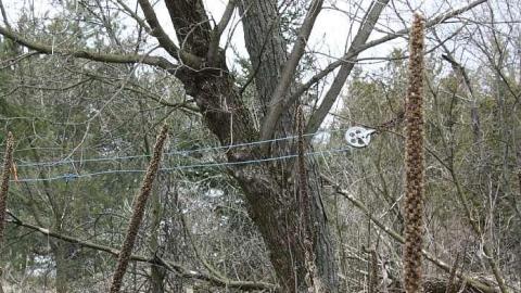 Photo from Older visit: 2013