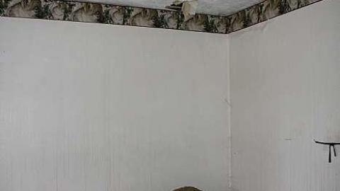 Older visit: 2013 - Paisley-House82.jpg