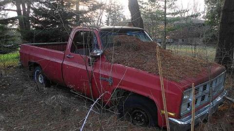 JB 2012 - Jefferson-bungalow27.jpg