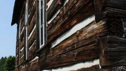 Photo from Summer '11