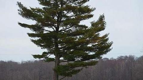 December 2018 - Laughton-Cemetery9.jpg