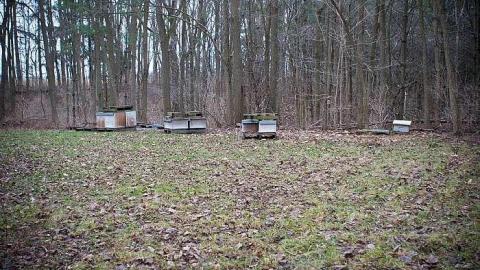 Photo from December 2018