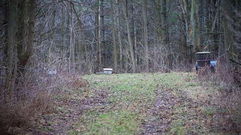 December 2018 - Leitch-Cemetery2.jpg