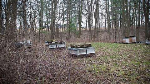 Photo from December 2018