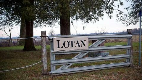 December 2018 - Lotan-pioneer-Cemetery46.jpg