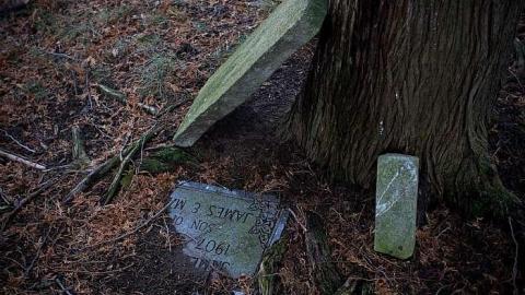 Photo from December 2018