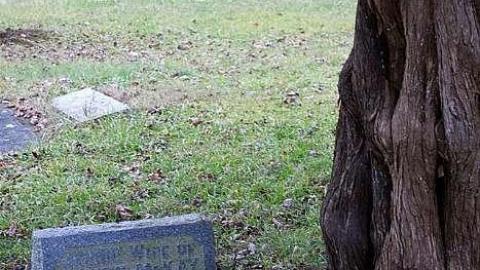 December 2018 - St-Marys-Anglican-Cemetery11.jpg