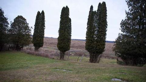 December 2018 - St-Marys-Anglican-Cemetery12.jpg