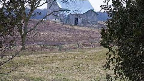 St Mary's Anglican Cemetery photo 4