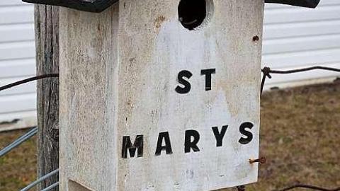 December 2018 - St-Marys-Anglican-Cemetery21.jpg