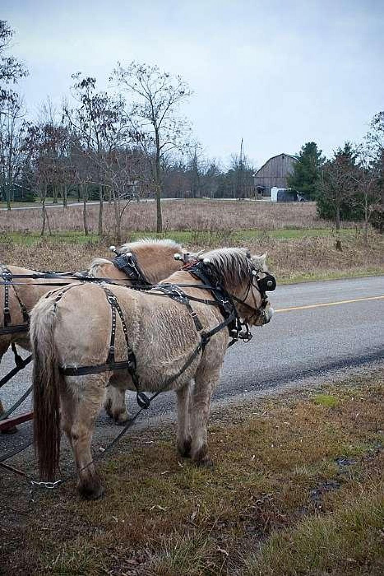 December 2018 - St-Marys-Anglican-Cemetery26.jpg