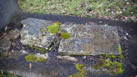 December 2018 - Willey-Pioneer-Cemetery40.jpg