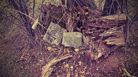 Photo from Cairn Needed