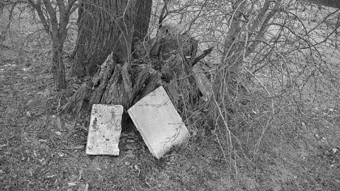 Photo from Cairn Needed