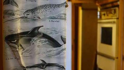 Dial B For Bloody '18 - DSC07430.jpg