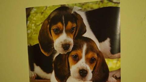 Dial B For Bloody '18 - DSC07492.jpg