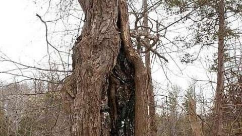 December 2018 - Kilbourne-Pioneer-Cemetery28.jpg