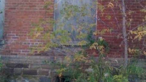 October 28, 2011 - IMG_0092.jpg