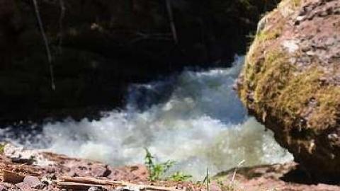 2018 - Salmon-Ladder5.jpg