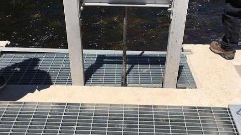 2018 - Salmon-Ladder1.jpg