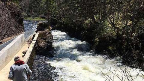 2018 - Salmon-Ladder3.jpg