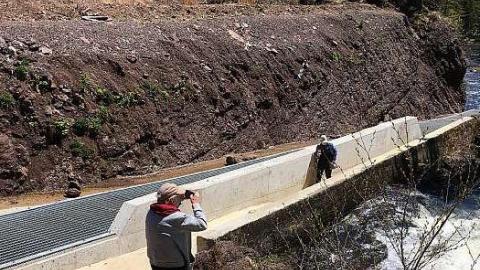 2018 - Salmon-Ladder4.jpg