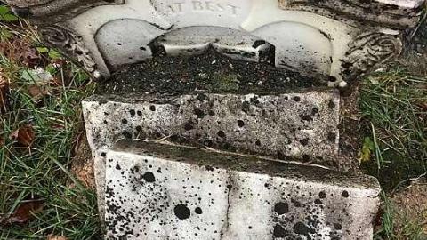 Hick's Bible Christian Cemetery photo 2