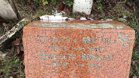 December 2018 - Hicks-Bible-Christian-Cemetery11.jpg