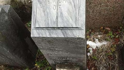 Hick's Bible Christian Cemetery photo 3