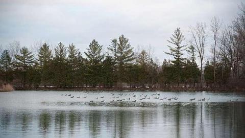 Waterfront Business photo 5