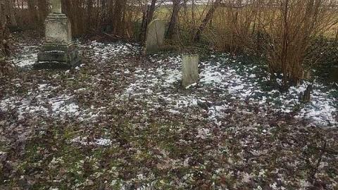 December 2018 - Nursery-Cemetery3.jpg