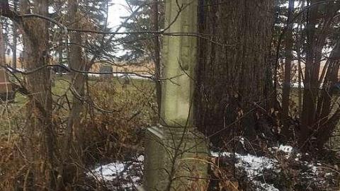 Nursery Cemetery photo 4