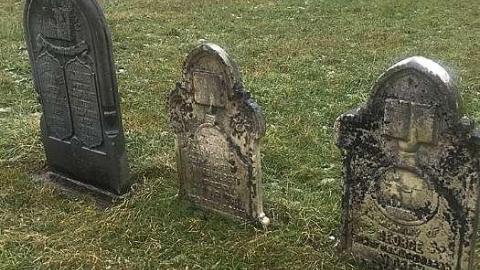 December 2018 - Nursery-Cemetery6.jpg