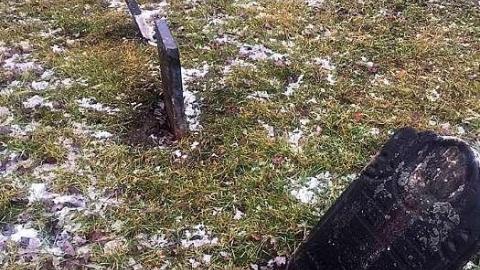 December 2018 - Nursery-Cemetery8.jpg