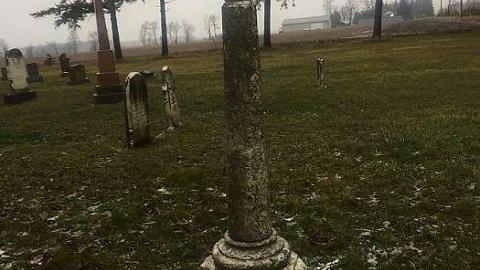 December 2018 - Nursery-Cemetery25.jpg