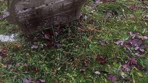 December 2018 - Nursery-Cemetery27.jpg