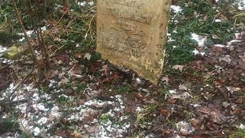 December 2018 - Nursery-Cemetery12.jpg