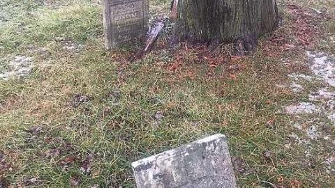 December 2018 - Nursery-Cemetery28.jpg