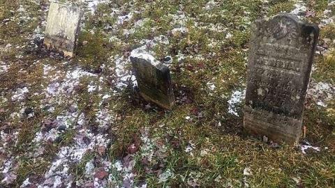 December 2018 - Nursery-Cemetery13.jpg