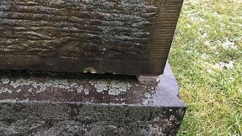 December 2018 - St.-Peters-Pioneer-Cemetery5.jpg