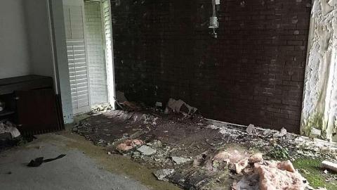 Minimalist Home - Mid-Century-Modern-on-Cachet10.jpg