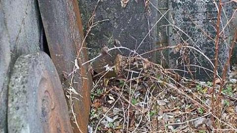 January 2019 - Ross-Cemetery9.jpg