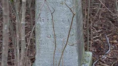 January 2019 - Ross-Cemetery11.jpg