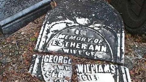 January 2019 - Ross-Cemetery12.jpg