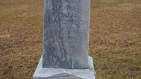 January 2019 - Ross-Cemetery18.jpg