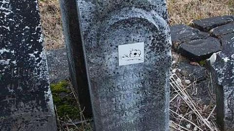 January 2019 - Ross-Cemetery25.jpg