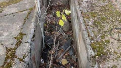 Photo from #2 Shaft - 1