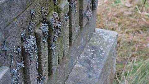 Lumley Cemetery photo 5